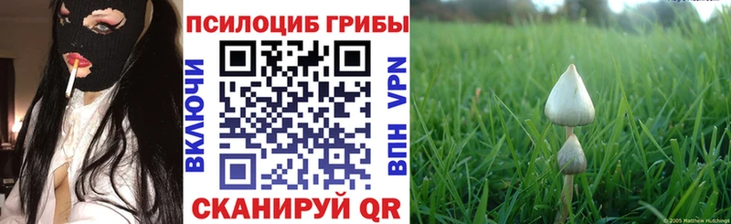 хочу Урюпинск Галлюциногенные грибы GOLDEN TEACHER