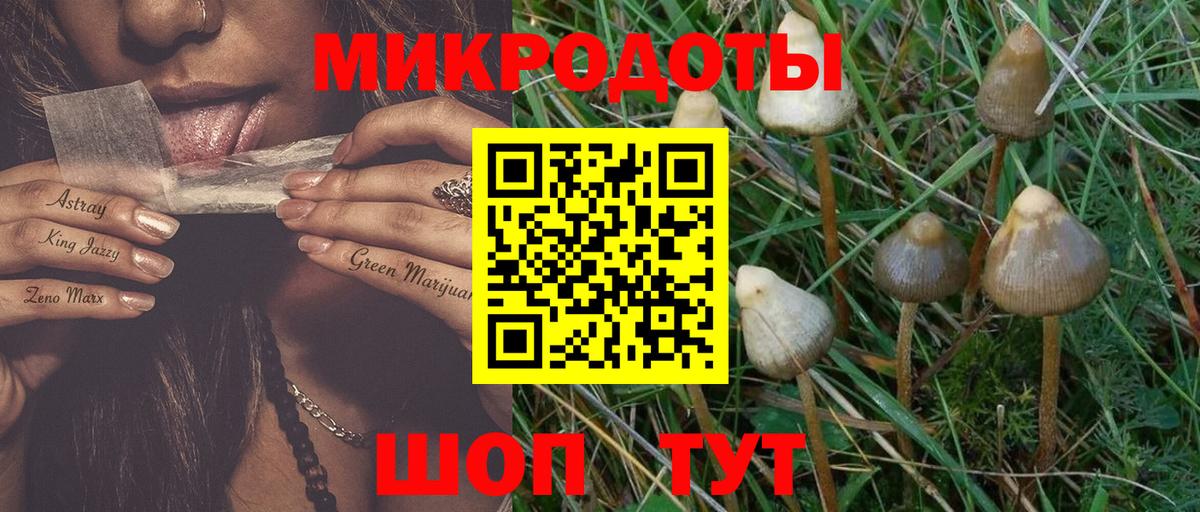 Галлюциногенные грибы Magic Shrooms  Вход с VPN  Урюпинск  Галлюциногенные грибы MAGIC MUSHROOMS 
