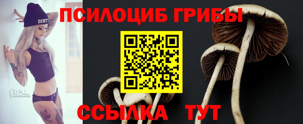 Галлюциногенные грибы мухоморы Урюпинск